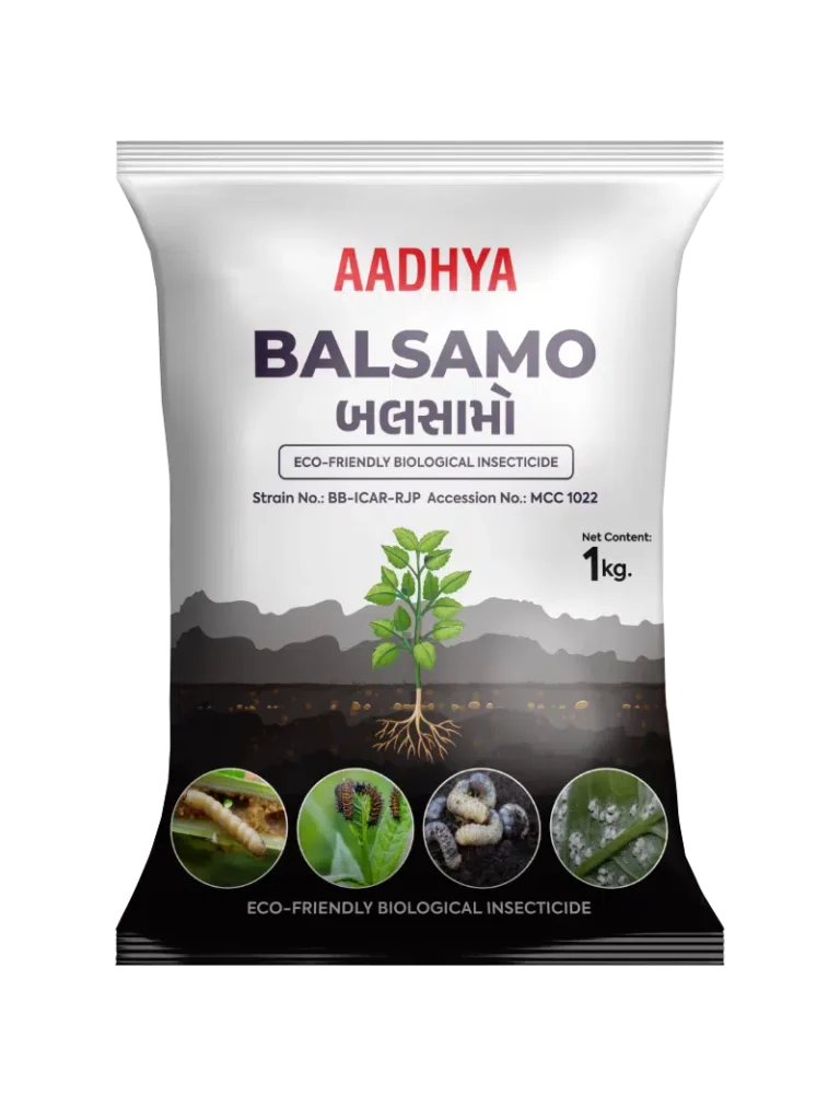 Balsamo