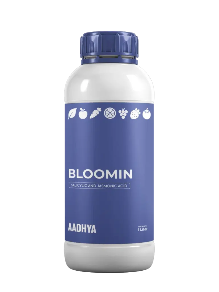 Bloomin