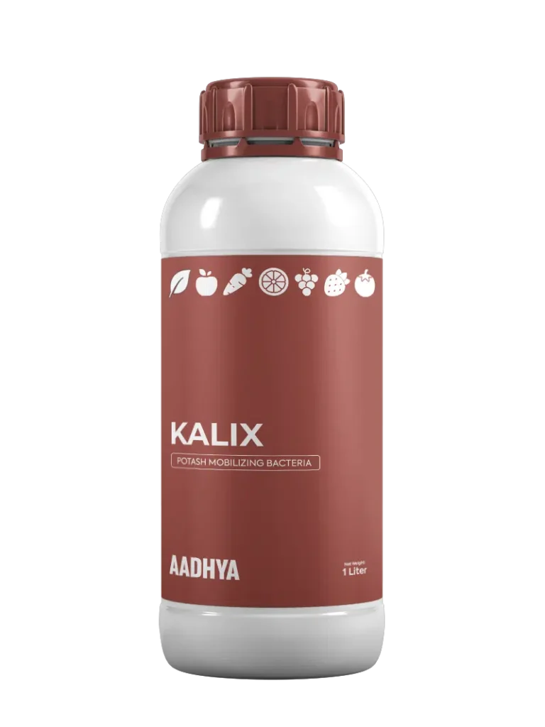 Kalix