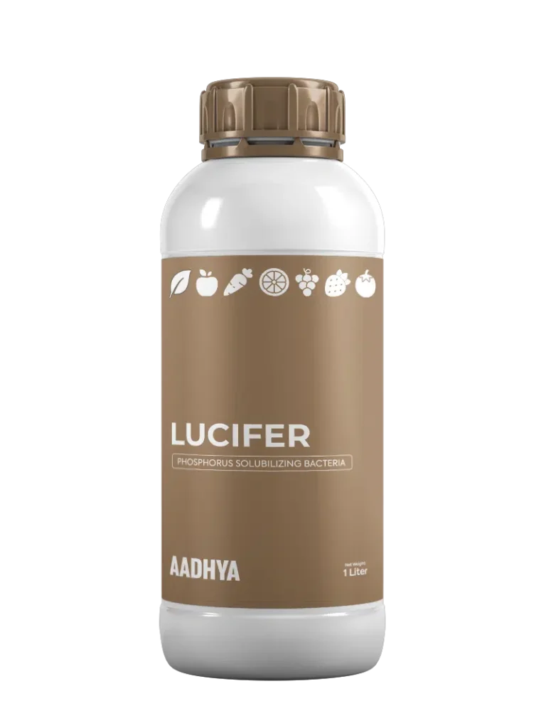 Lucifer