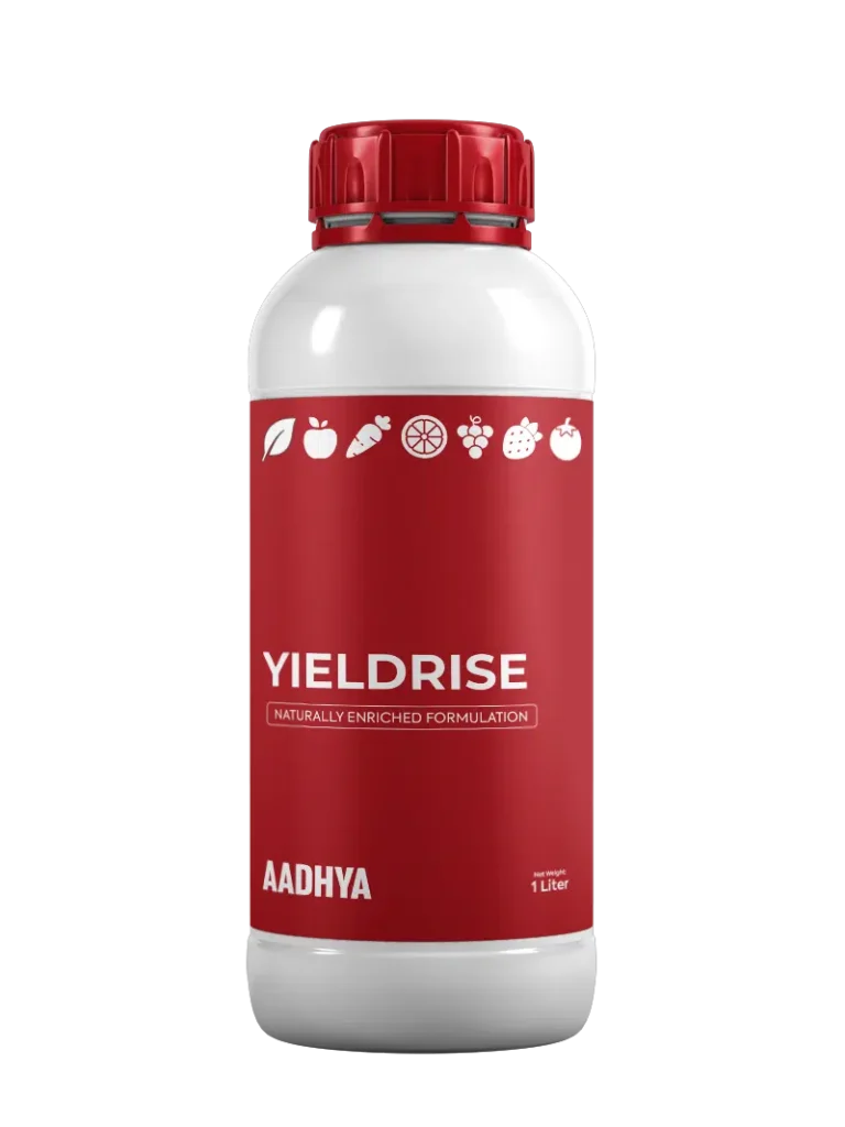 Yieldrise